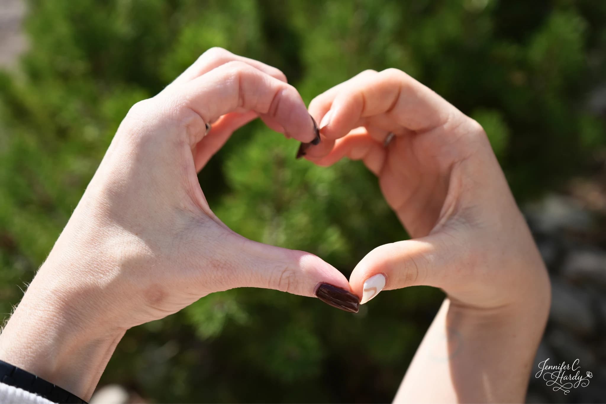 Two hands forming a heart in warm sunlight against a green background